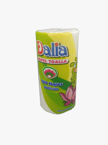PAPER TOWEL ROLL- 1 CT