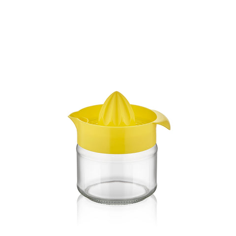 300ML GLASS CITRUS JUICER
