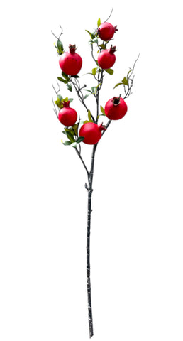 POMEGRANATE BRANCH