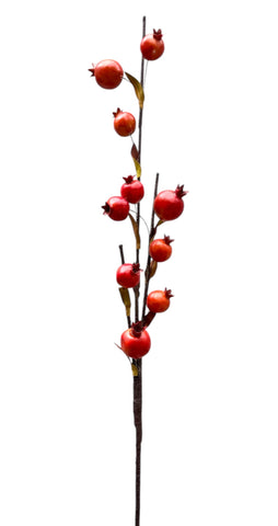 POMEGRANATE BRANCH