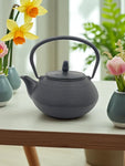 CAST IRON TEA POT