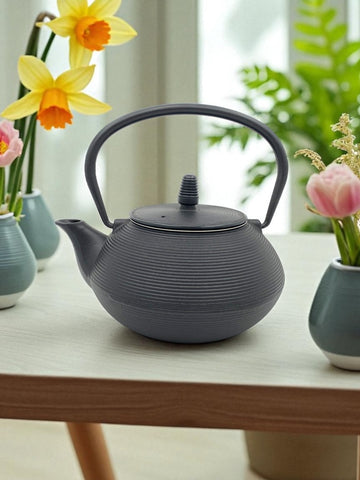 CAST IRON TEA POT