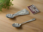 6 PC TEA SPOON-SILVER