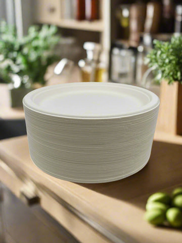 10" PAPER PLATES-100CT