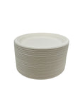 9" PAPER PLATES-100CT