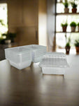 5.25"x4.5"x1.75" CLEAR CONTAINER-50CT