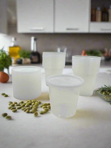 24OZ CONTAINER W/LID-20CT