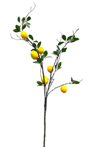 LEMON BRANCH